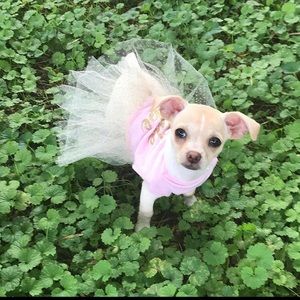 Meet your Posher, Mirna lorena